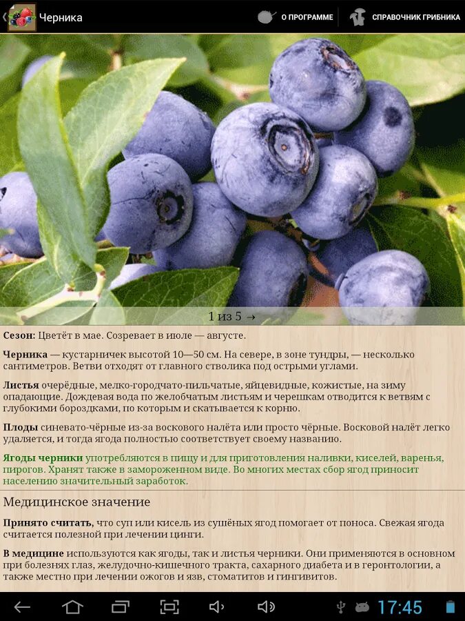 Ягодка к ягодке поговорка картинка с надписью !!!!!. Какие ягоды обладают жаропонижающим действием. Ягодка опять надпись красивая. Справочник ягодный. Программа ягодка.