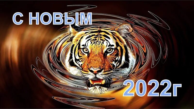 Какой тигр был в 2025. Год водяного тигра 2025. 2025 год черного водяного тигра. с новым годом черного водяного тигра 2025. чм 2025 тигр тигроша.