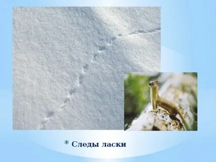 Следы следы песня это