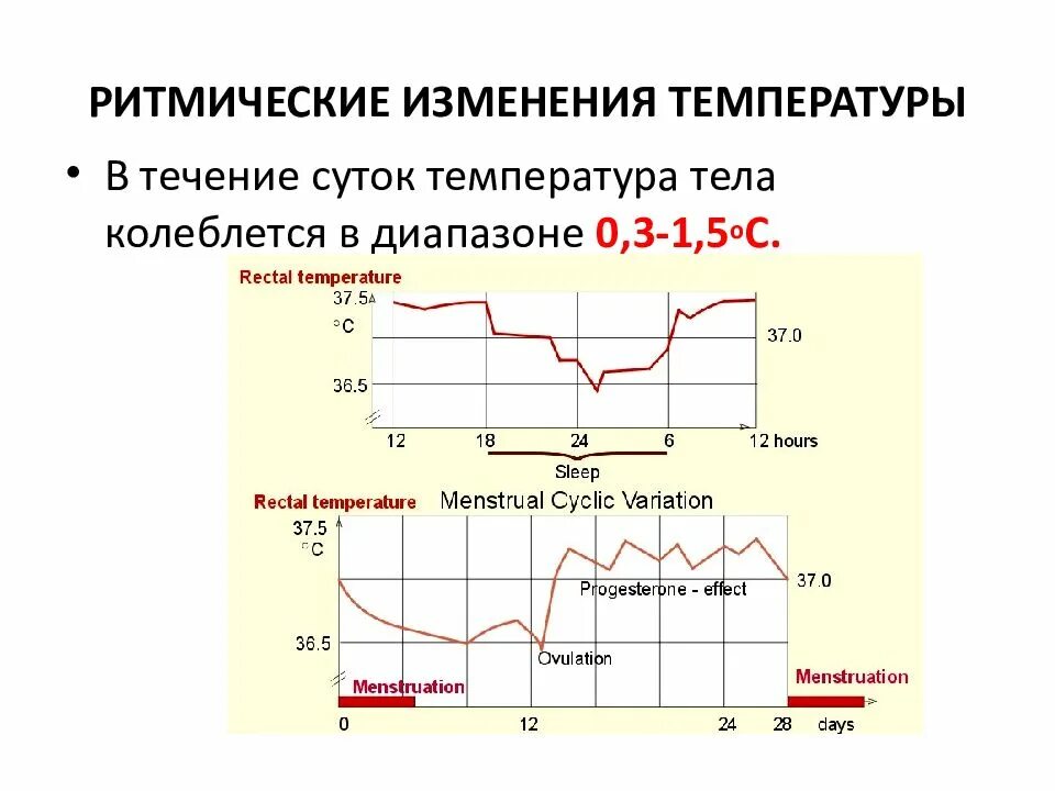 Скину в течение дня. Суточные колебания температуры тела. изменение температуры тела в течение суток. суточное колебание температуры тела человека. нормальные колебания температуры тела человека.