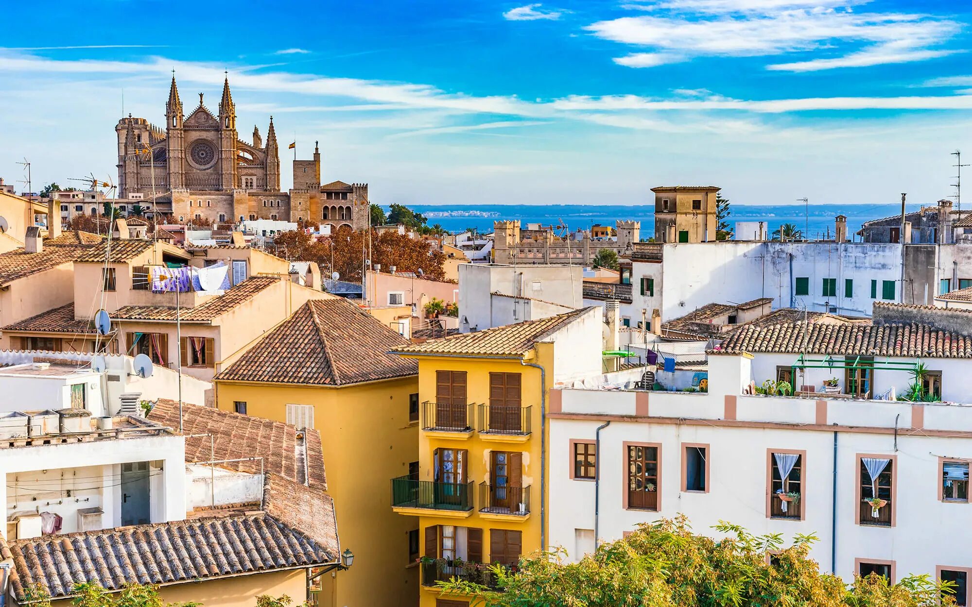 Пальма де майорка погода. Пальма-де-майорка испания. пальма де майорка. palma de mallorca испания. пальма де майорка старый город.