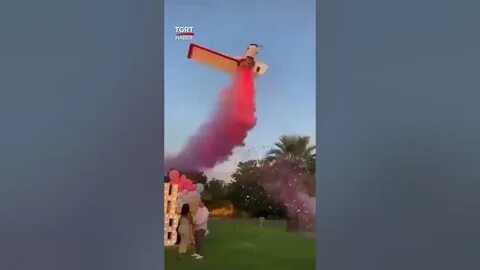 Гендер пати самолет