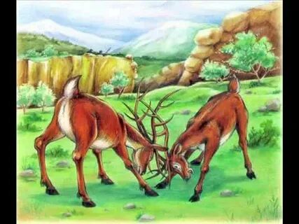 Порно Илана Исакжанова Юрьева сіз әкелесіз