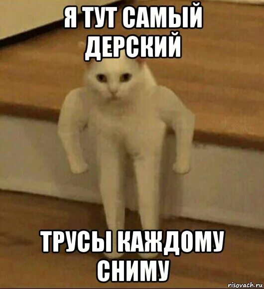Сниму тут. Сниму тут