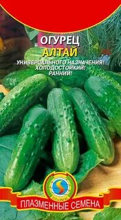 Огурцы семена алтая
