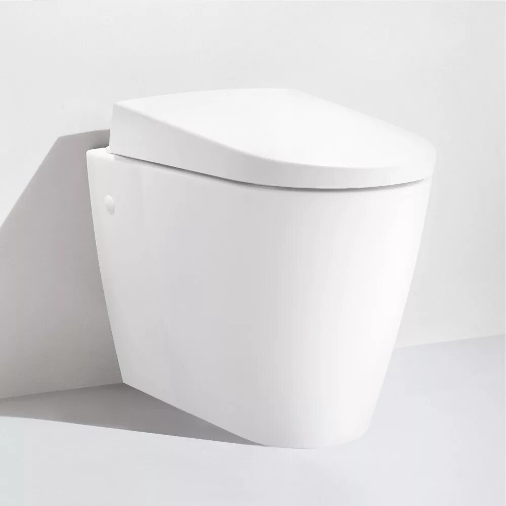 2. Унитаз приставной с бачком roca gap. Унитаз приставной zero 55. Бачок скрытого монтажа grohe 38863000. 100.