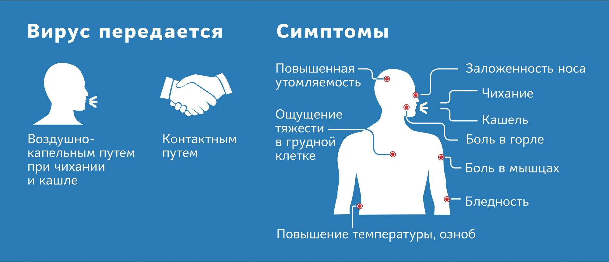 Симптомы коронавируса у человека. Симптомы. Симптомы коронавируса у взрослого. Болит грудная клетка коронавирус.