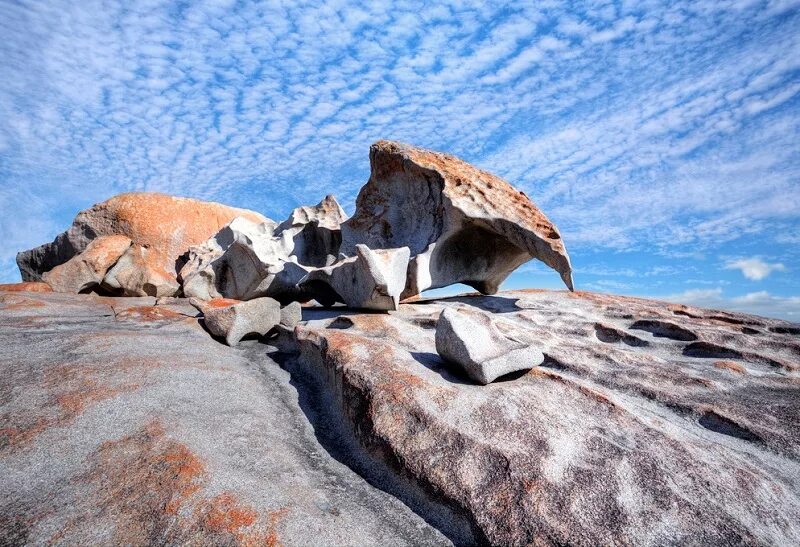 Австралия объекты живой. Национальный парк Флиндерс Чейз. Флиндерс Чейз Австралия. Остров Флиндерс Австралия. Остров кенгуру в Австралии.