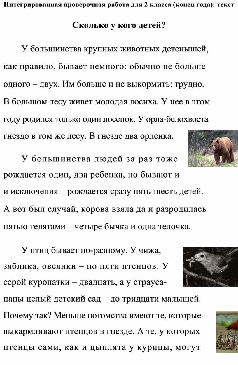 Сколько у кого детей комплексная работа. Комплексная интегрированная проверочная работа. Интегрированная проверочная работа для 2 класса. Интегрированная контрольная работа что это. Интегрированная проверочная работа для первого класса.