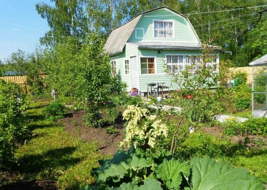 Дачи в Орехово Зуево. Садовый участок СНТ. Дача в СНТ. Дача 2.5 сотки. Дачные участки александров