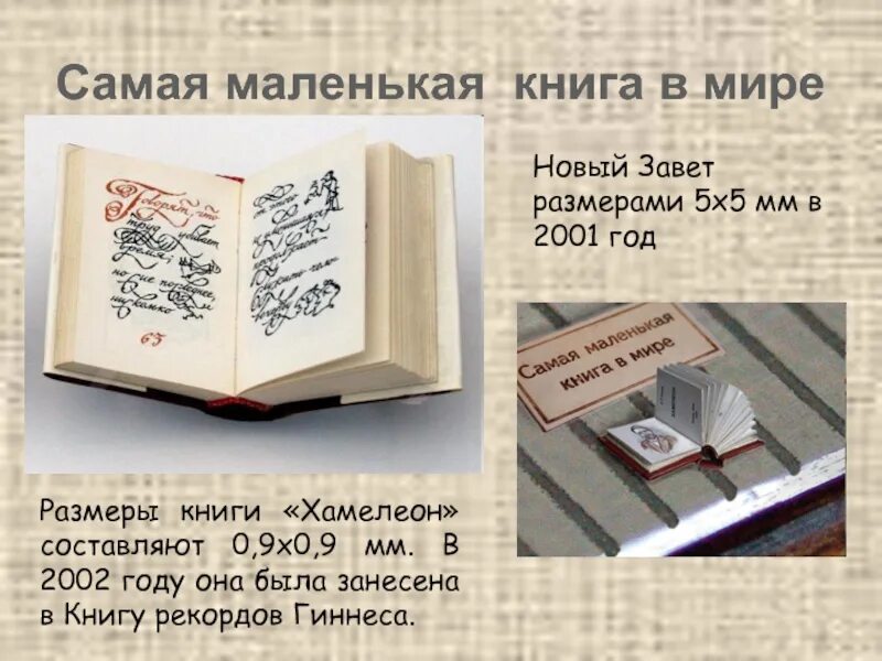 Как назвать маленькую книгу. Самая маленькая книга в мире новый Завет. Самая маленькая книга Чехова хамелеон. Самая маленькая книга. Самая маленькая книга в мине.