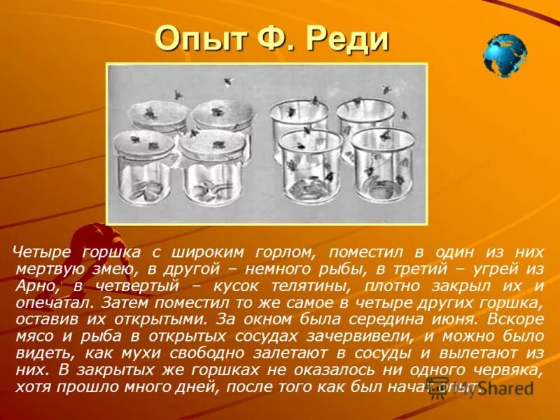 Франческо реди 1626 -1698. Опыт реди. Опыт реди. Франческо реди теория зарождения жизни. Эксперимент франческо реди.