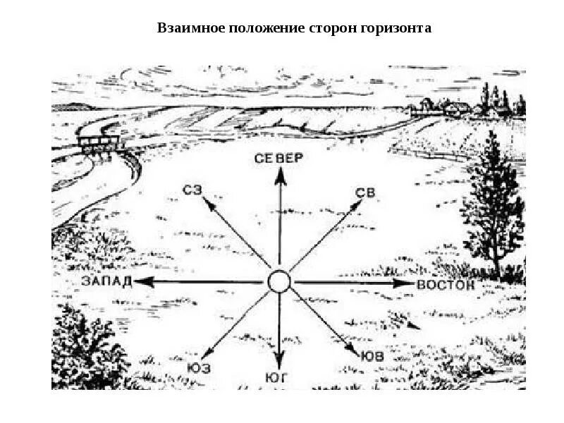 Азимуты сторон горизонта. Ориентирование стороны горизонта карта. Ориентировать карту по сторонам горизонта. Ориентированы и т д