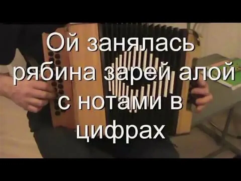 Занялась рябина зорька алая. Ой занялась рябина зорькой алой. Песня Ой занялась рябина зорькой. Ой занялась рябина зорькой алой разбор на гармони. Ой занялась рябина зорькой алой Ноты для гармони.