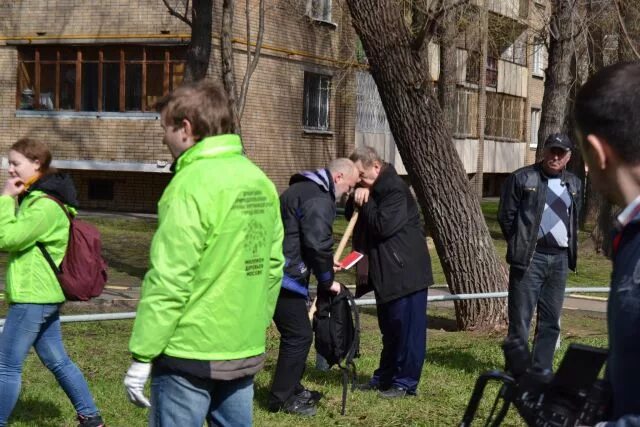 Миллион деревьев москве. Миллион деревьев москве