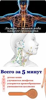 Гимнастика для лимфы