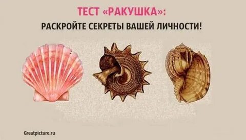 Тест ракушки