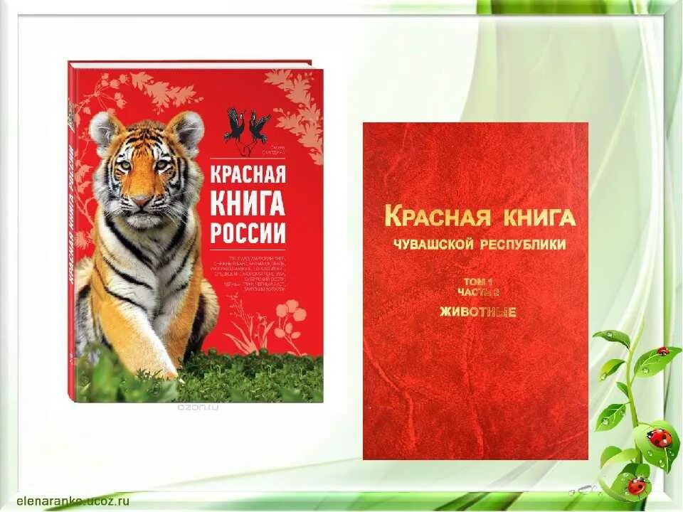 Образцы красной книги. Красная книга. Красная книга России. Красная книга обложка. Красная книга книга.