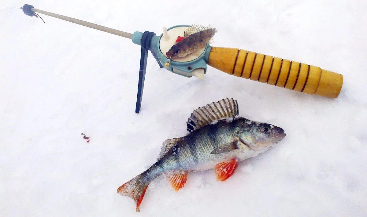 Ловля рыбы мормышкой. Ловля окуня зима мормышка. Зимние удильники на окуня. Окуневая мормышка зимняя. Оснастка зимней удочки на окуня с мормышкой.