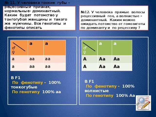 Сколько процентов особей будет иметь рецессивный. Тонкие волосы доминантный признак. Гены Доминанты и рецессивы. Доминантный признак и рецессивный признак. Какие гены доминантные а какие рецессивные у человека.