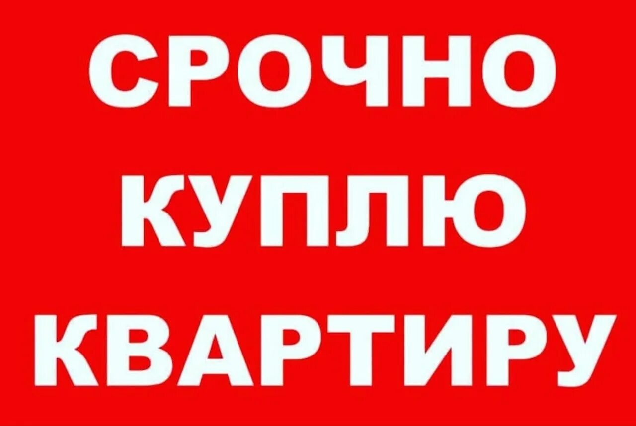 Срочная продажа квартир куплю. Картинка срочно куплю квартиру. Куплю квартиру картинка. Срочно куплю квартиру. Куплю.