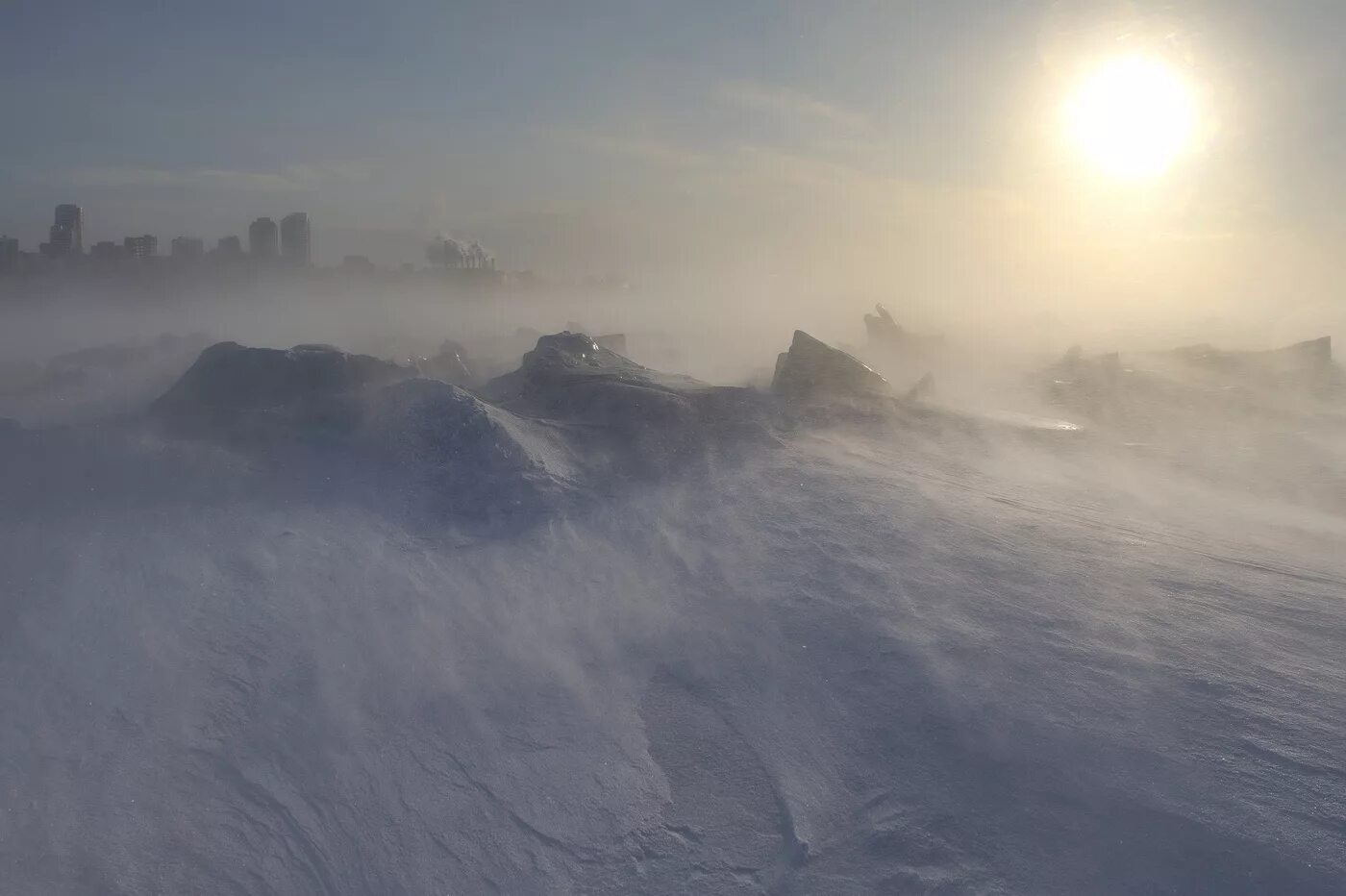 безжалостный мороз. сильный холод. замерзшие животные в казахстане. безжалостный мороз. ледяной кот.