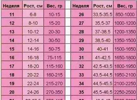 Сколько должен быть вес при беременности