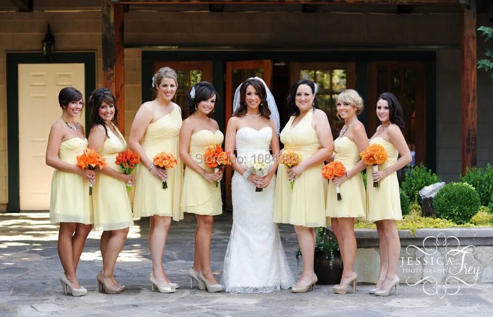 48.005 Bridal party dress Görseli, Stok Fotoğraflar ve Vektörler Shutterstock