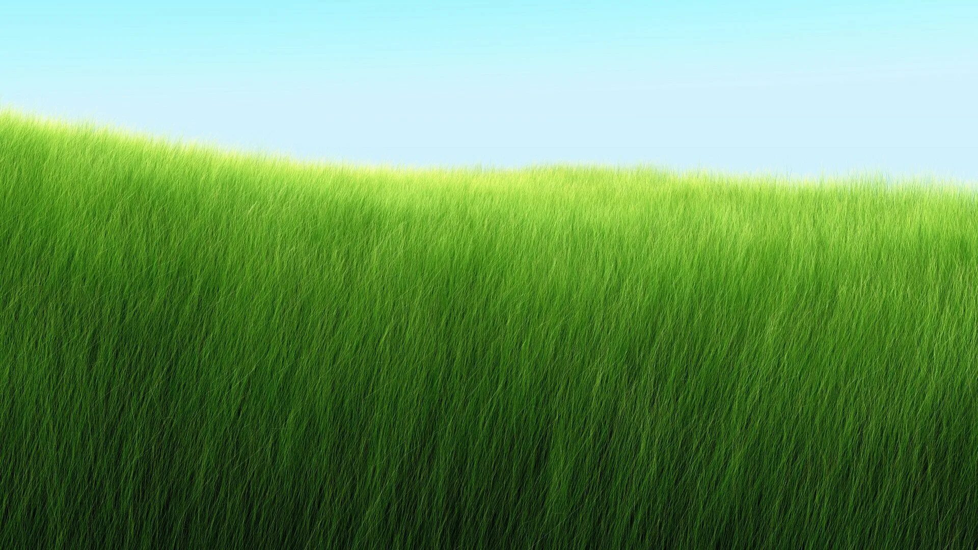 Трава зелена вопрос. Трава фон. Зеленый газон. Зеленая трава фон. Густая трава.