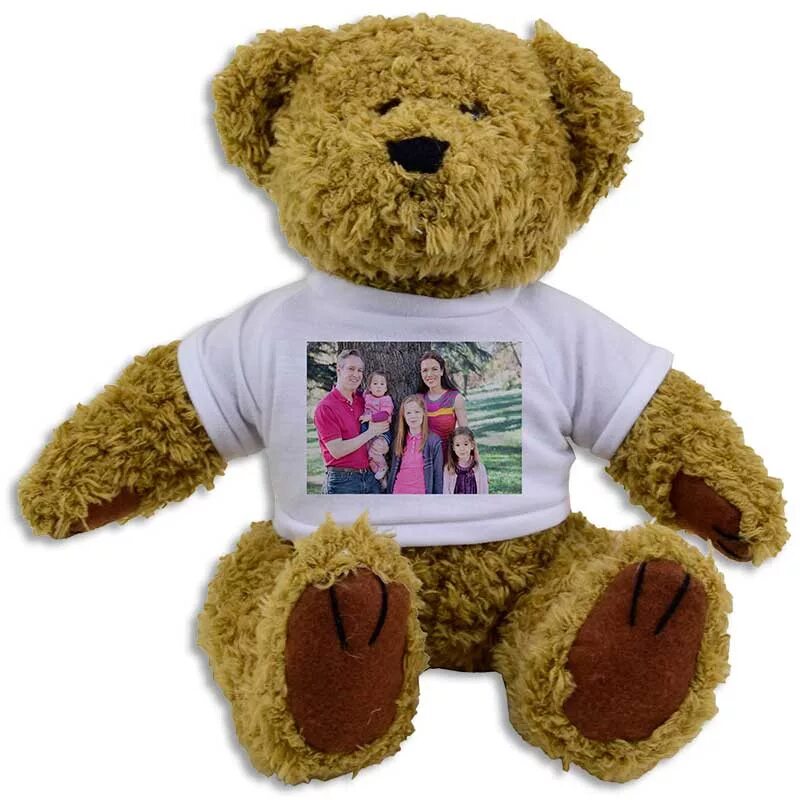 He can t bear. Teddy Bear t Shirt. Teddy in a t-Shirt. Slippery t Teddy.