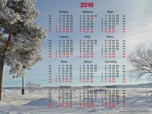 3 января 2016 г. Февраль 2016 года. Календарь 2016. Календарь 2016 года фото. Февраль 2016 года календарь.