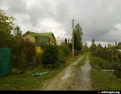 Снт волна 2