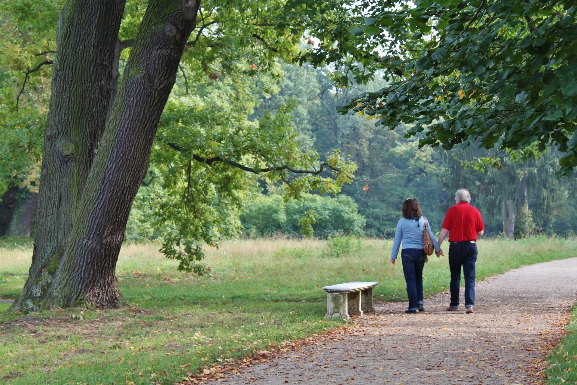 She s in the park. Люди гуляют в парке. Гулять в парке. Парк с деревьями и людьми. Прогулка в парке летом.