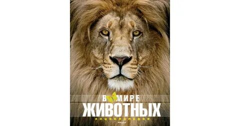 Мир животных интернет магазин