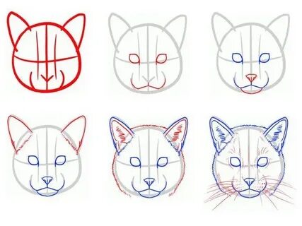 Как нарисовать котенка для начинающих