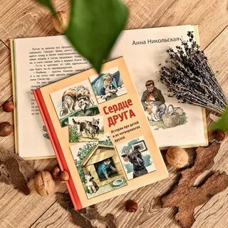 4 друга книга