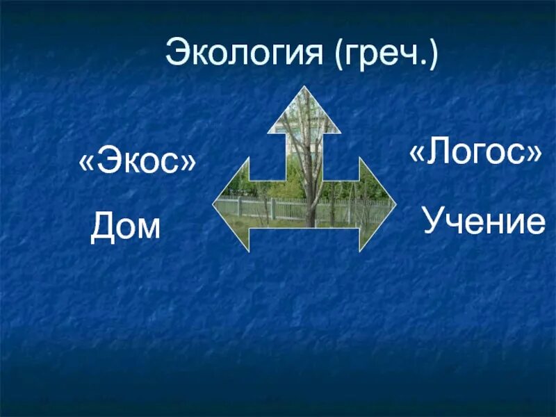 Что такое экос. Экология экос логос.