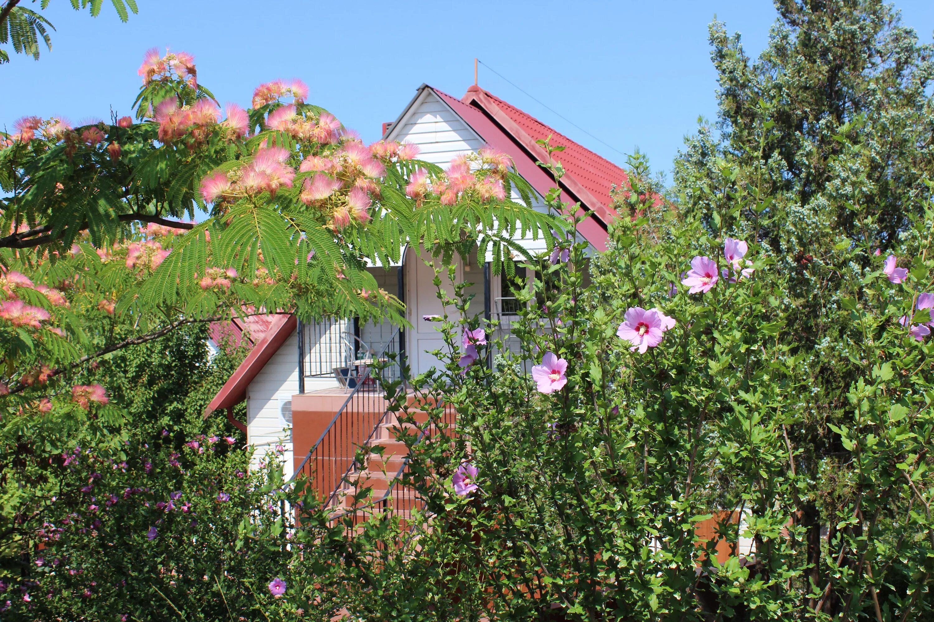 Елки хиллс сукко. Елка хиллс анапа. Елки хиллс сукко. Елка хиллс анапа. Елка хиллс сукко.