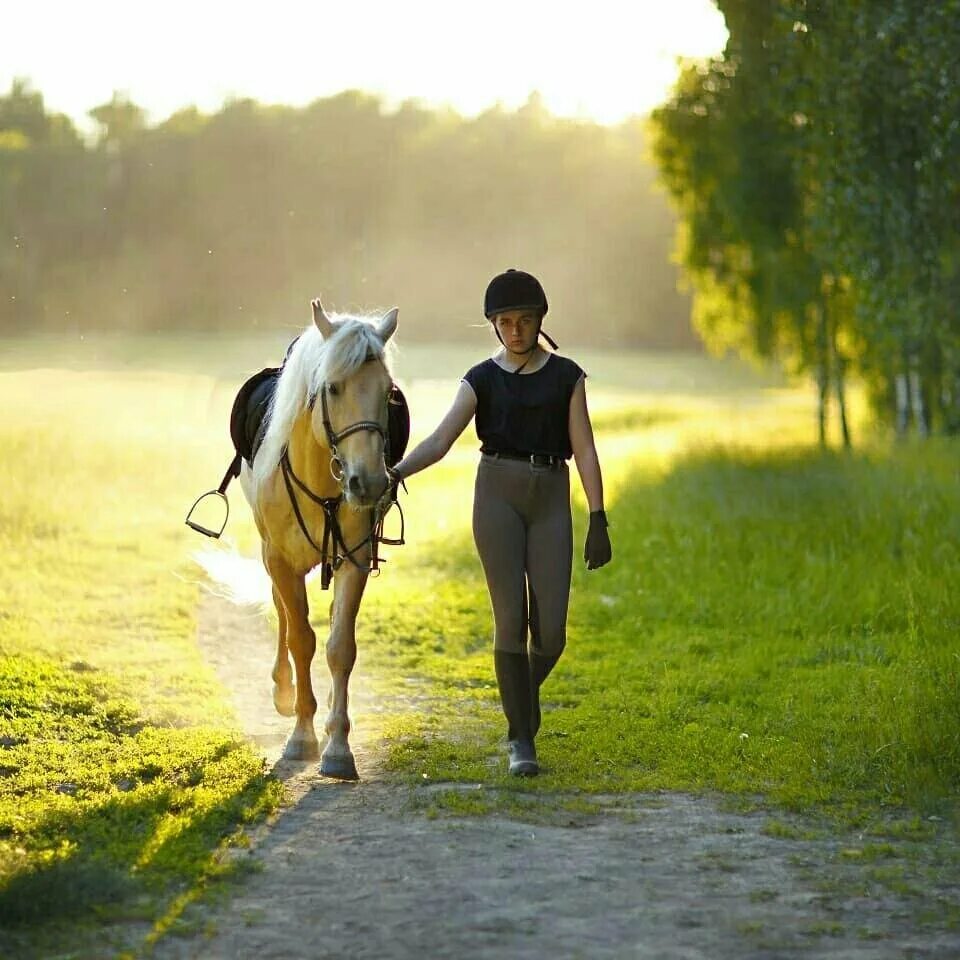 Катание на лошадях. Прогулка на коне. Конная прогулка фотосессия. Конная прогулка на лошадях.