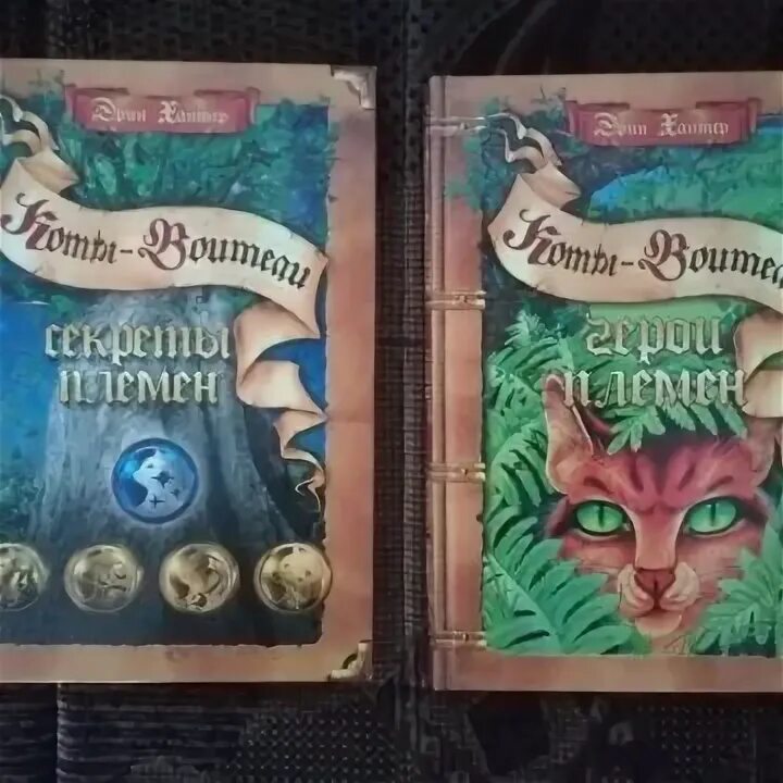 Тайны племя. Книги коты воители секреты племён. Книги коты воители секреты племён. Секреты племён книга. Тайны племя.