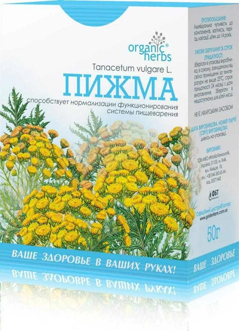Пижма аптечная. Пижма обыкновенная. Пижма северная. Пижма хорст. Пижма фармакологическое действие.