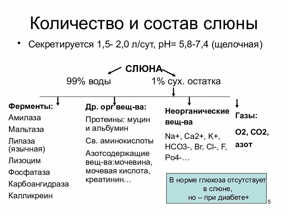 Составляющие слюны