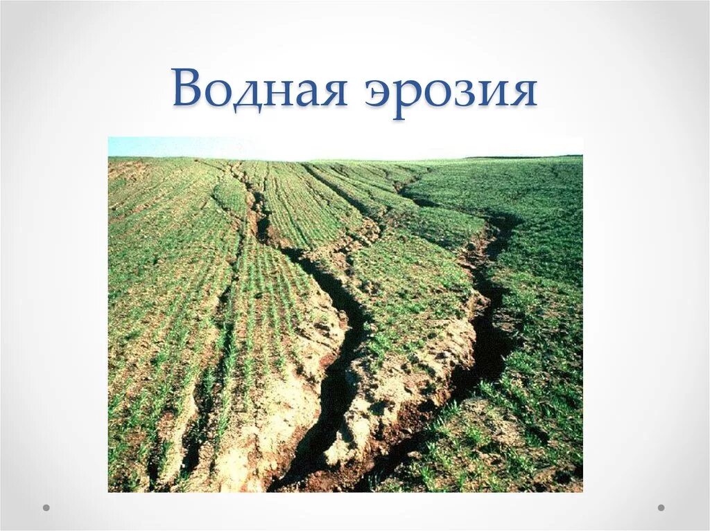 Пример эрозии почвы