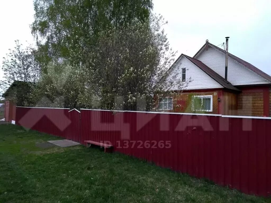Алтайский край сухая чемровка. Село хомутино алтайский край.