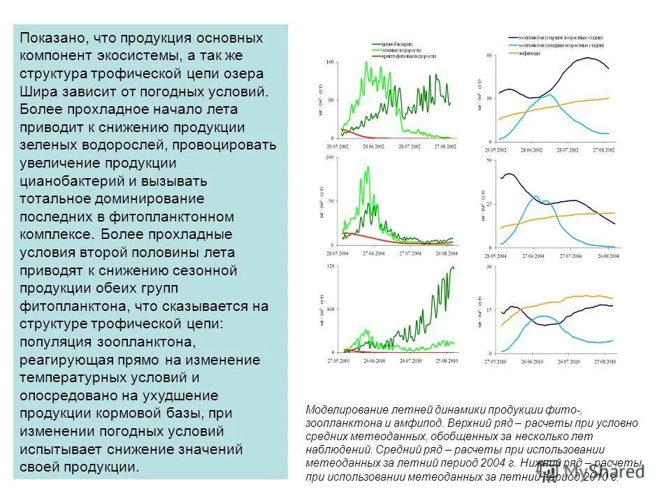 зоопланктон характеристика. численность зоопланктона. численность зоопланктона. исследование фитопланктона. миграция зоопланктона.