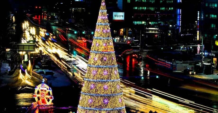 Елка в праздничных огнях. Елка в праздничных огнях. Праздничные елки в америке. Национальная рождественская елка сша. Новогодняя заставка.