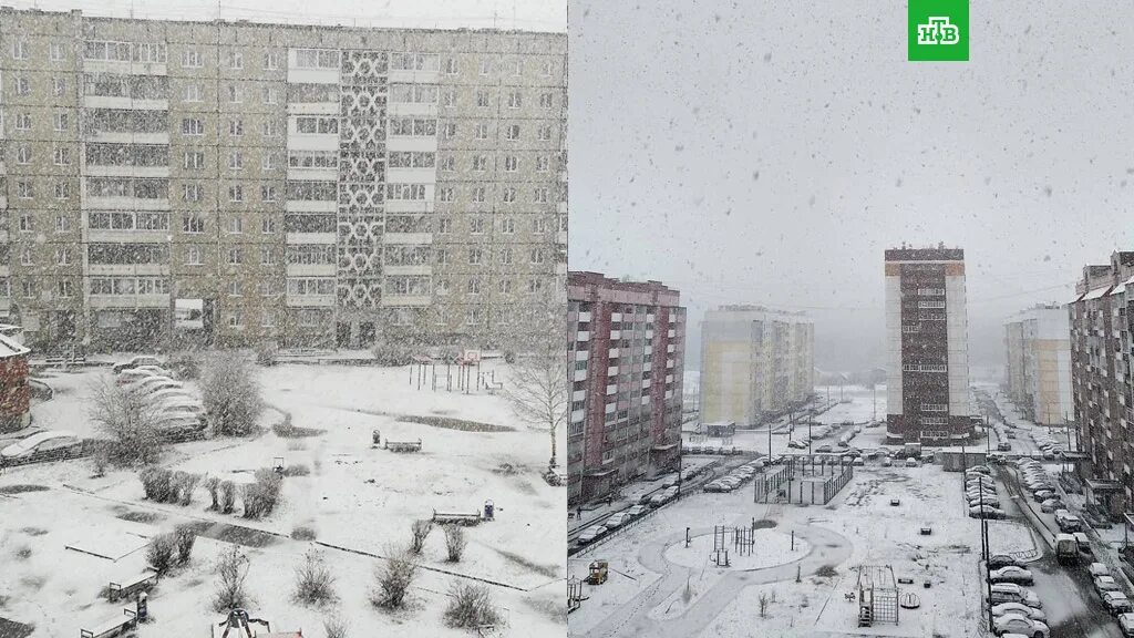 Где в области выпал снег. Снег в Свердловской области сегодня. Снег в Свердловской области. Где в Свердловской области выпал снег. Снег в Свердловской области сегодня где выпал.