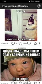Безумный приколы