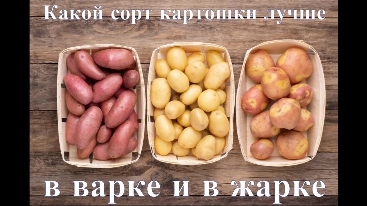 Картофель для пюре сорта какой лучше. Картофель беллароза. картофель гранада. картофель киранда. сорт картофеля рейнбоу.
