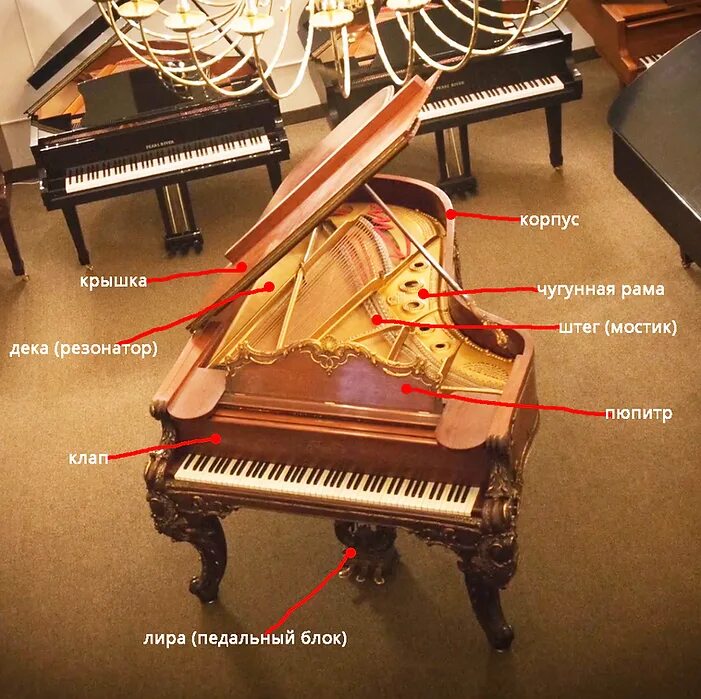 Строение фортепиано. Из чего состоит клавесин. Строение фортепиано. Составляющие рояля. Устройство рояля.